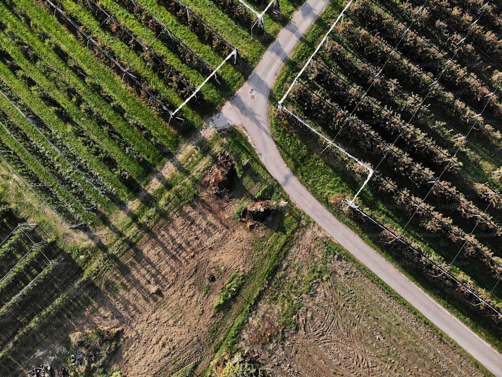 Una vista aérea de un camino de tierra en un campo