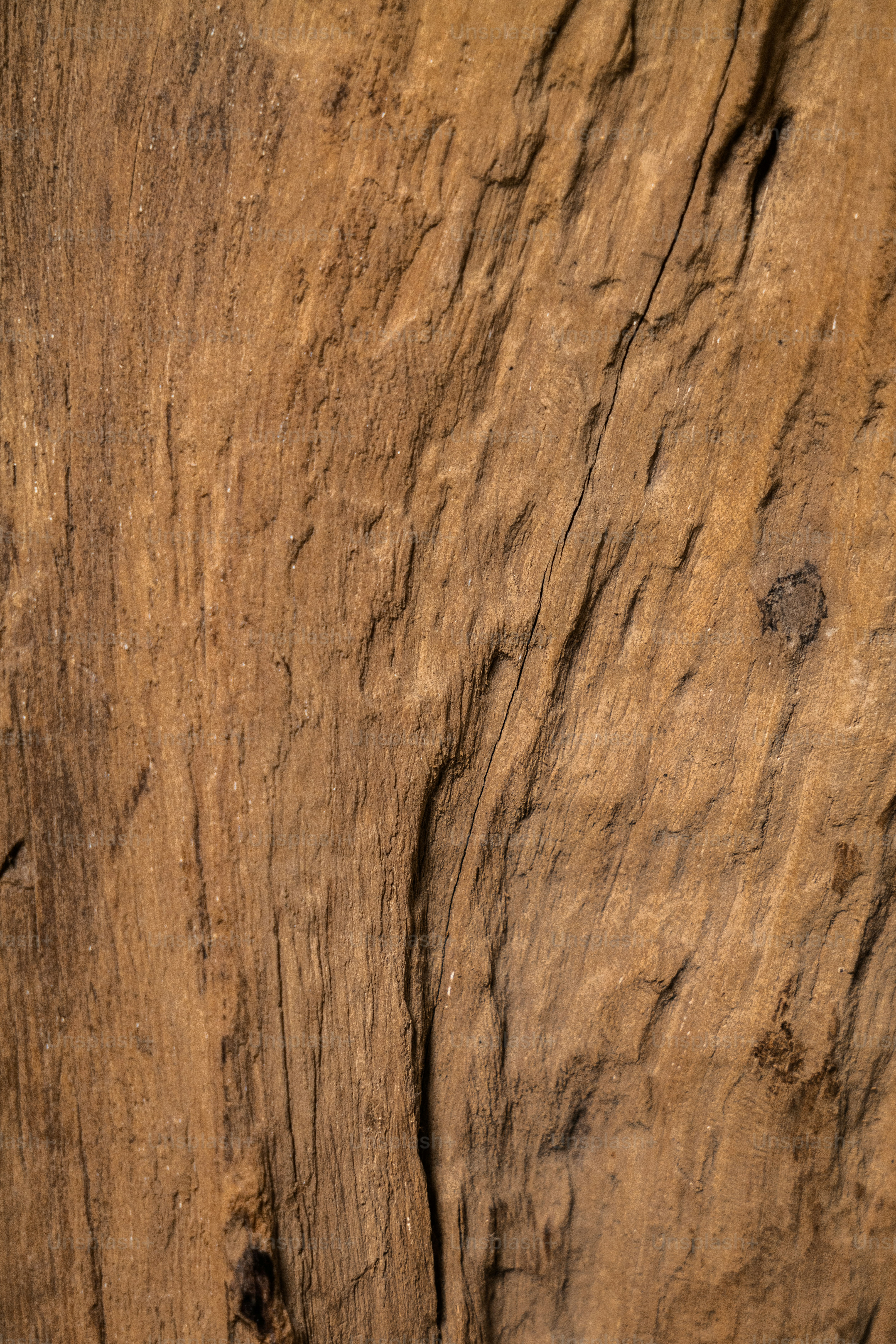 ein Stück Holz, das in eine Wand geschnitzt wurde
