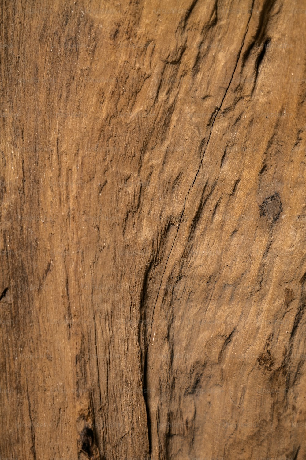 un morceau de bois qui a été sculpté dans un mur