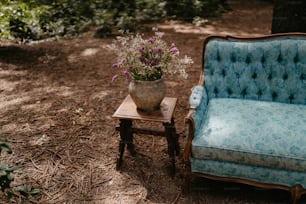 une chaise et une table avec une plante en pot dessus