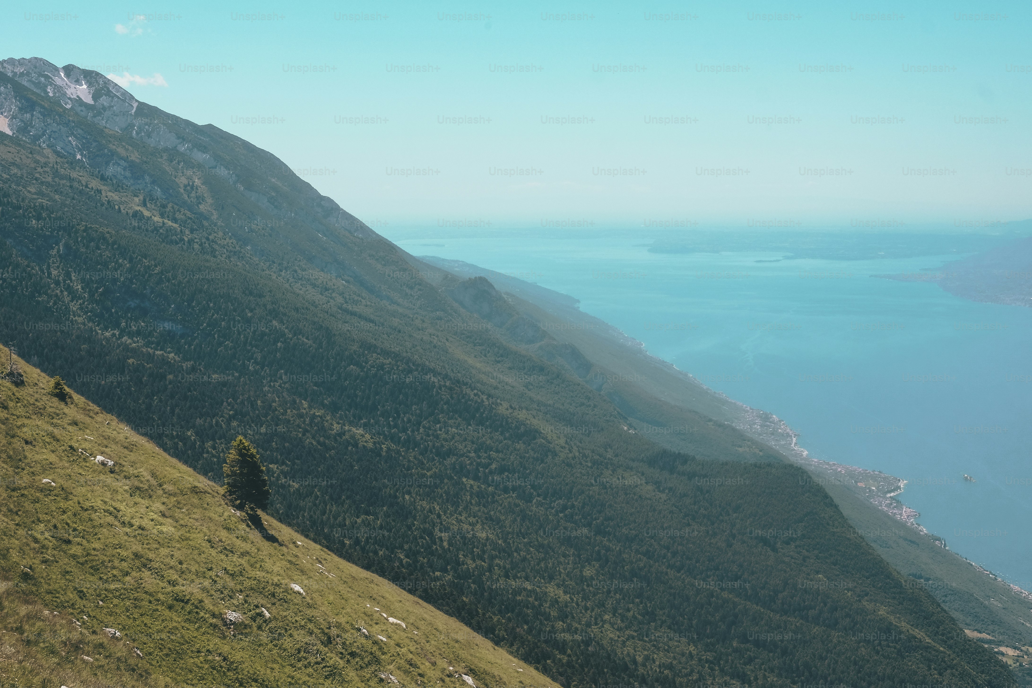 a lone tree on the side of a mountain