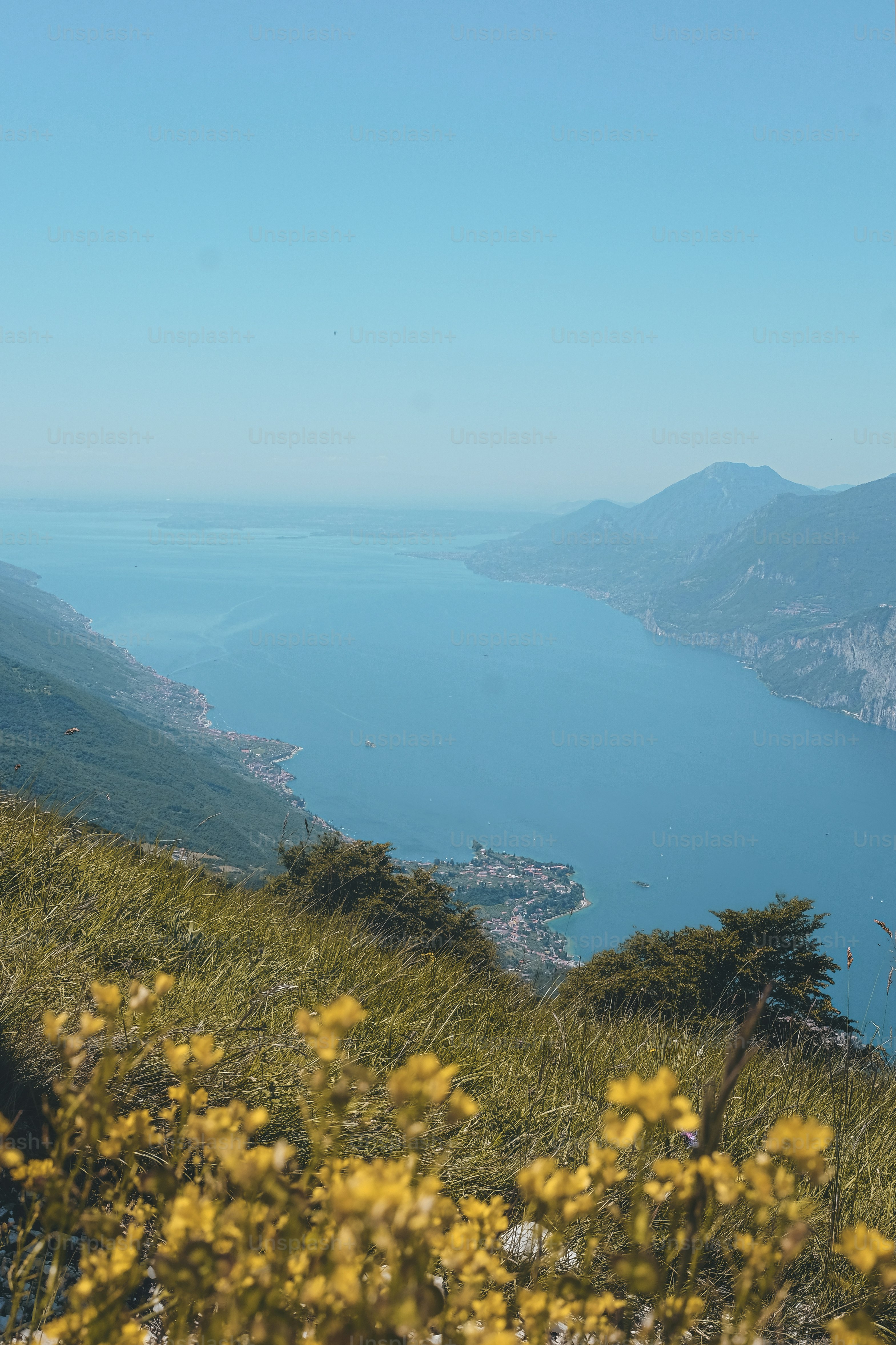 a view of a large body of water from a hill