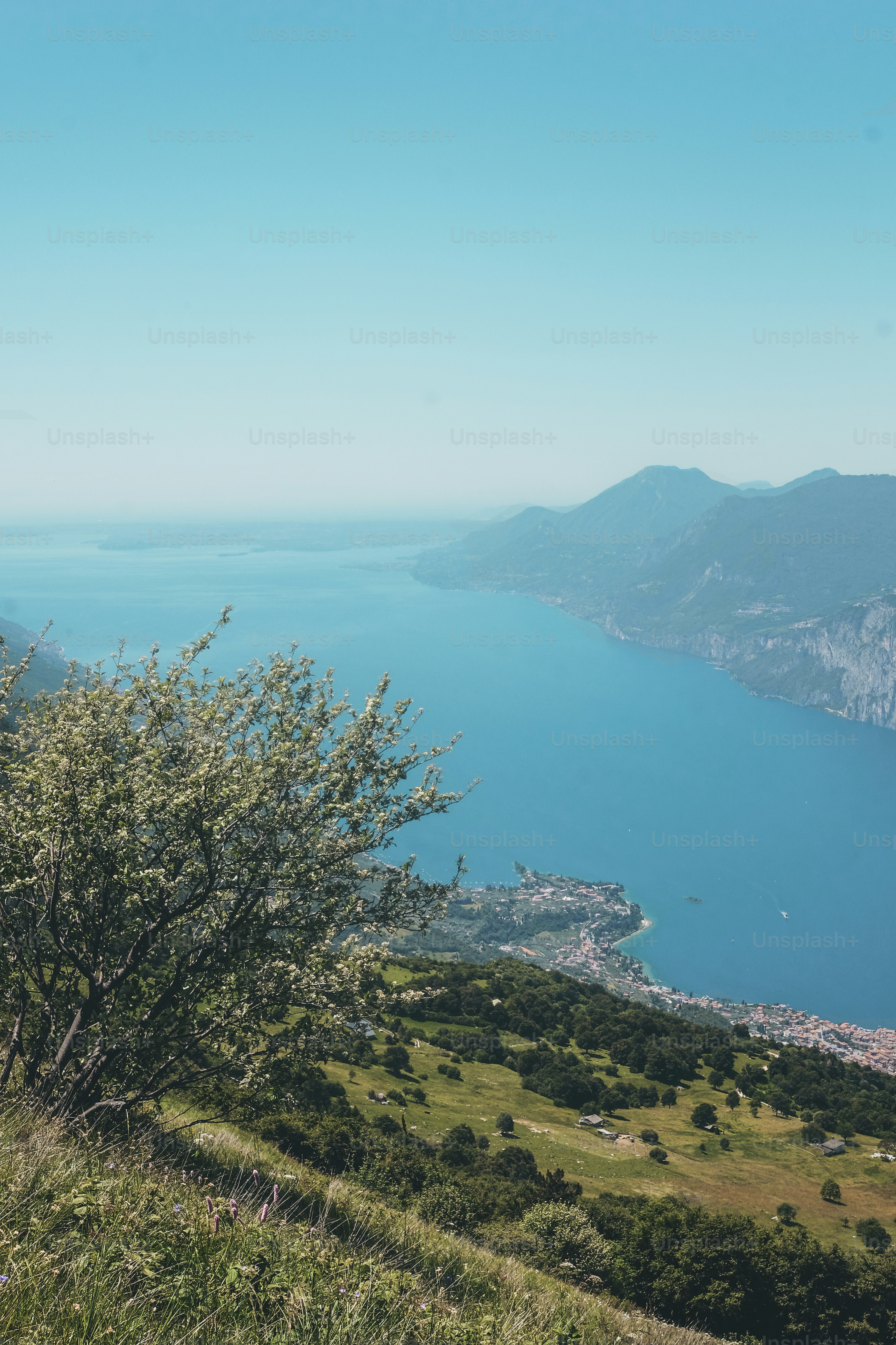 a view of a body of water from a hill