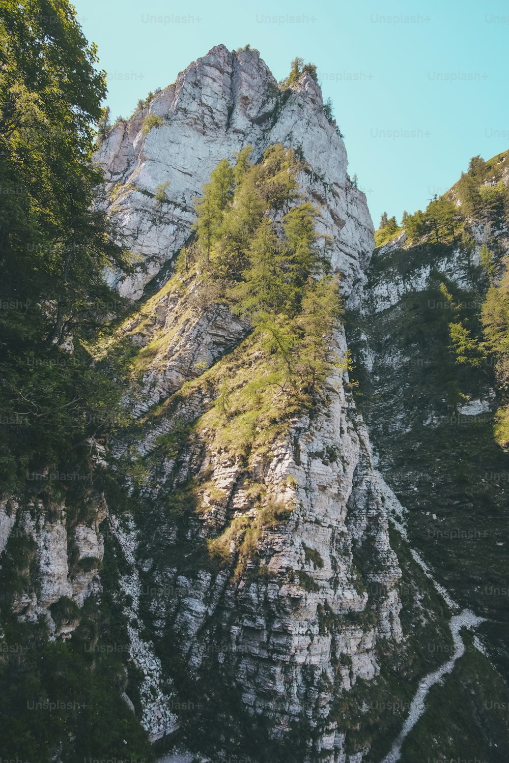 a very tall mountain with some trees on top of it