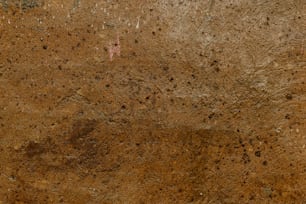um close up de uma superfície marrom com sujeira sobre ele