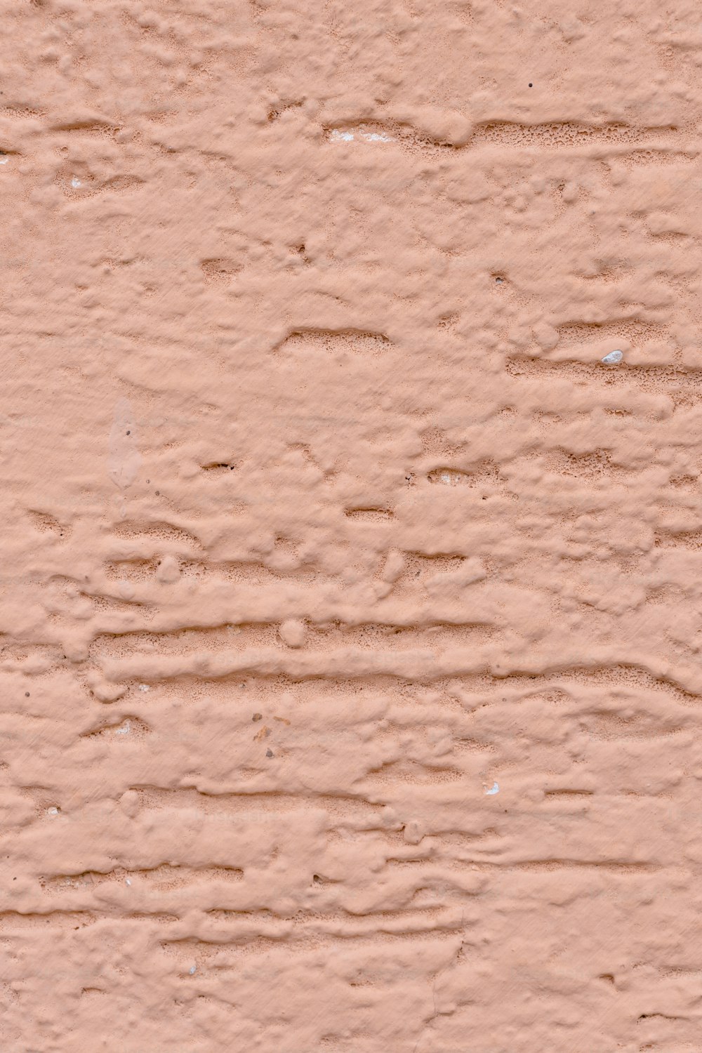 Un pájaro está sentado en una pared rosa