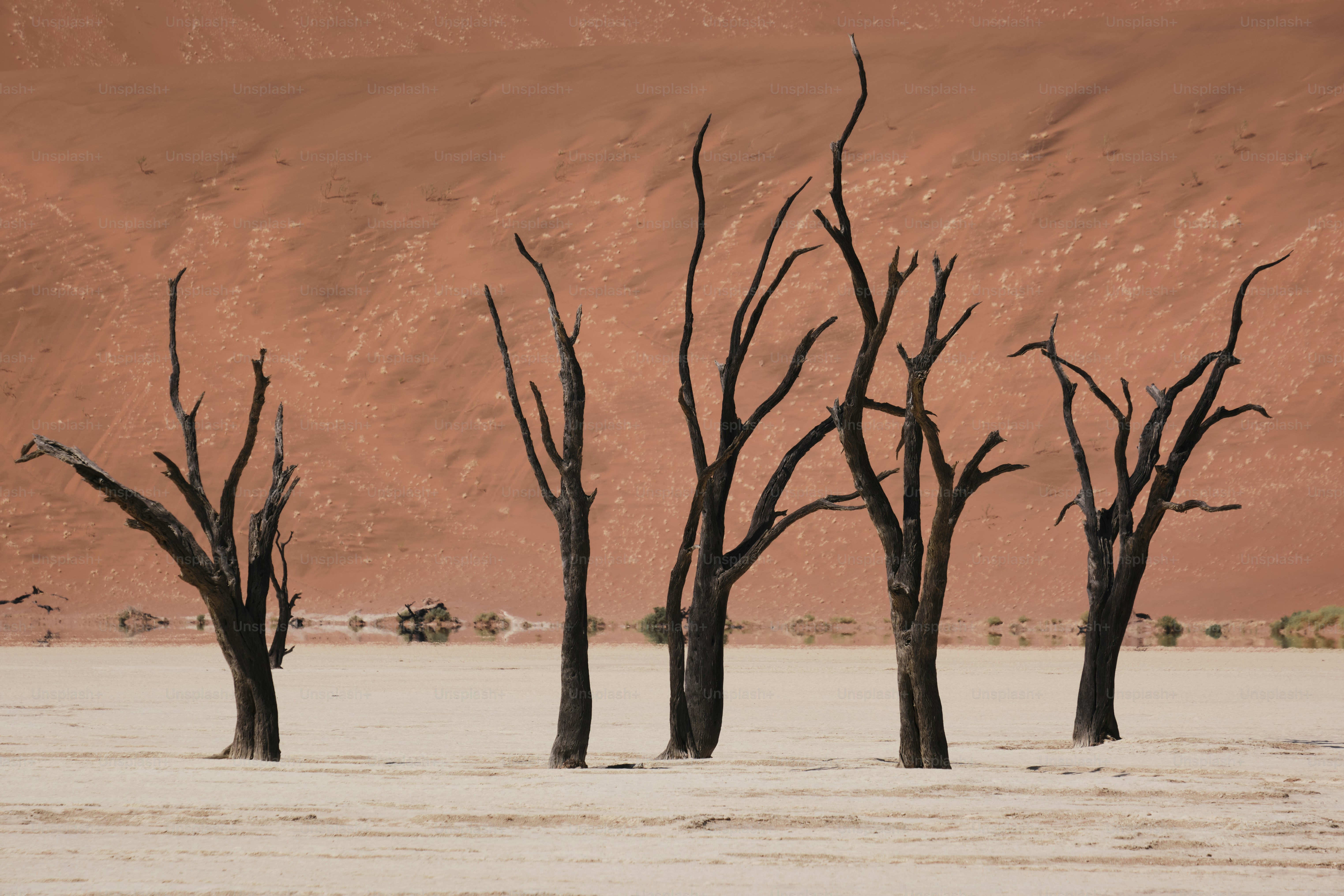 לחברה שמביטה בילדים הרעבים ולא מרגישה כלום 1