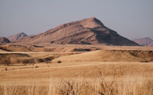 a field with a mountain in the background