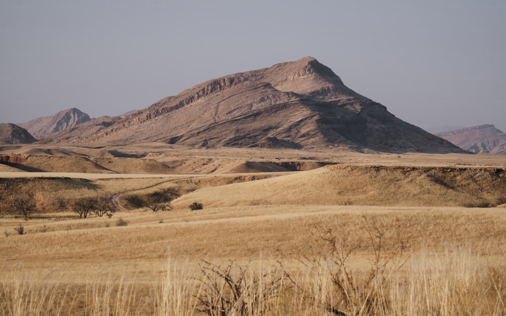 a field with a mountain in the background