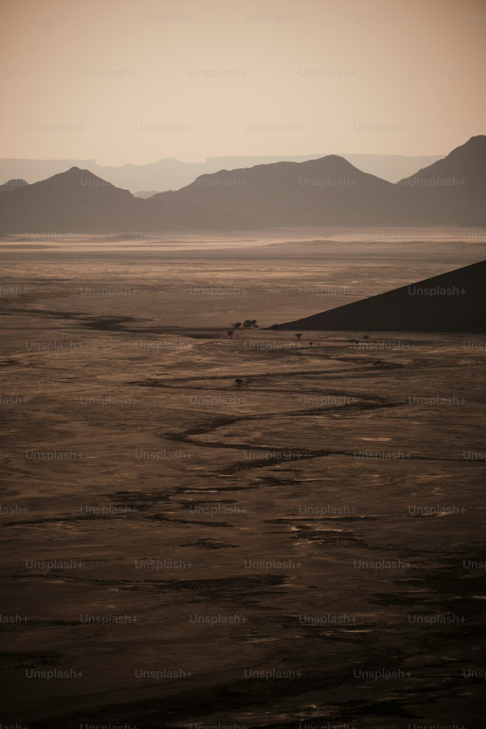 遠くに山々が見える砂漠の風景