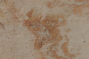 a close up of a wall with a painting on it