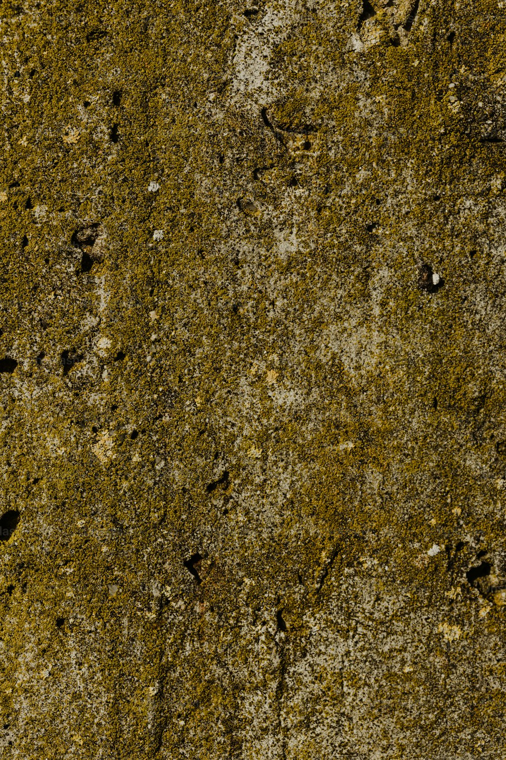 a close up of a concrete surface with small cracks