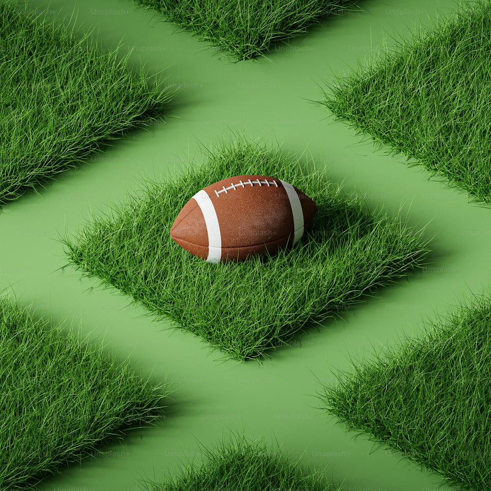 무성한 녹색 필드 위에 앉아있는 축구