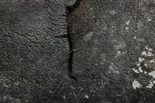 a close up of an elephant's skin with white paint