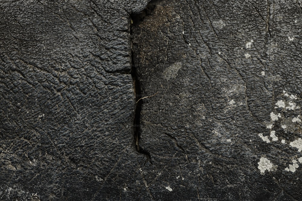 a close up of an elephant's skin with white paint