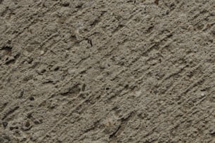 a close up of a bird's footprints in the sand