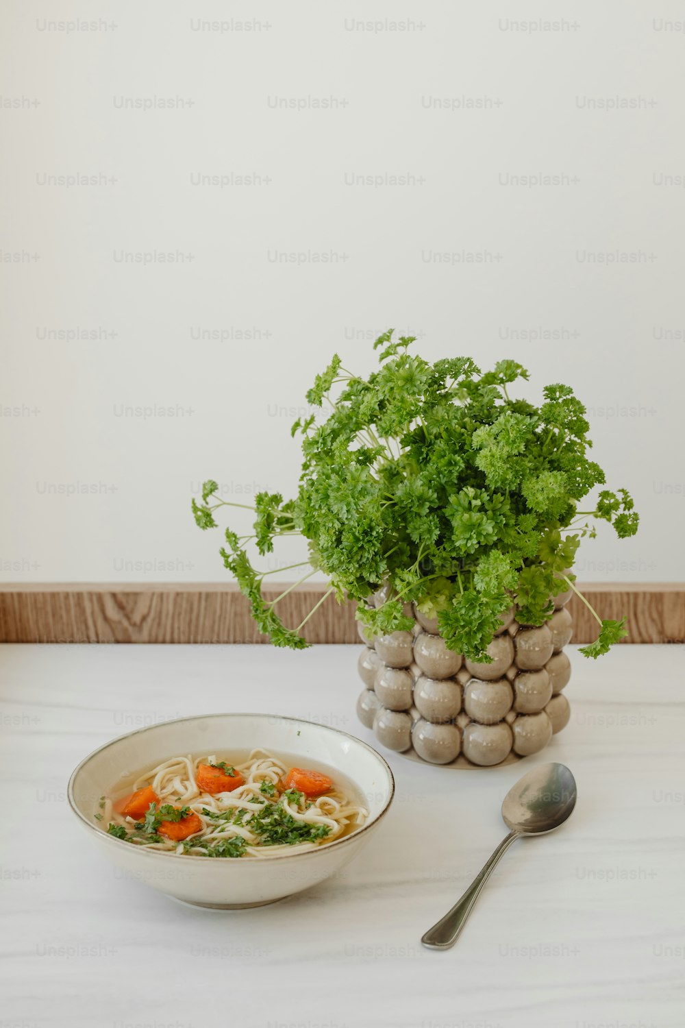 a bowl of soup next to a potted plant