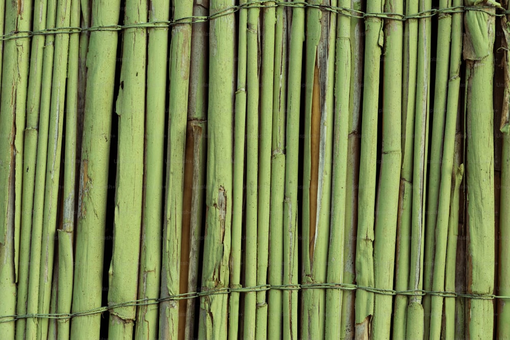 Un primer plano de un montón de palos de bambú