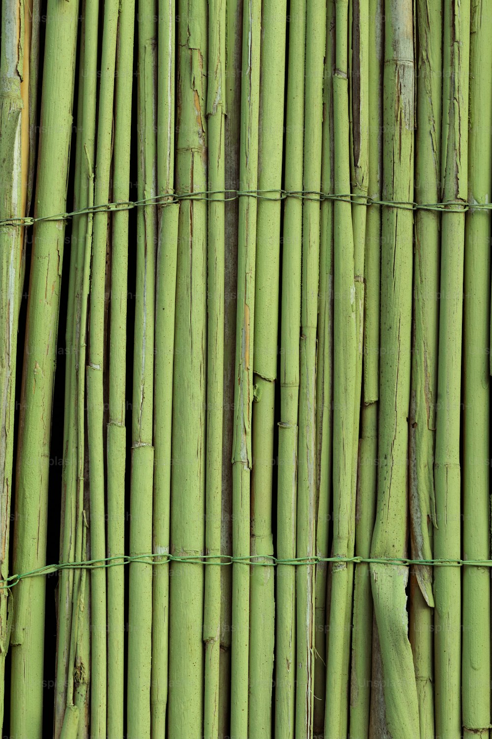 Gros plan d’un bouquet de bâtons de bambou