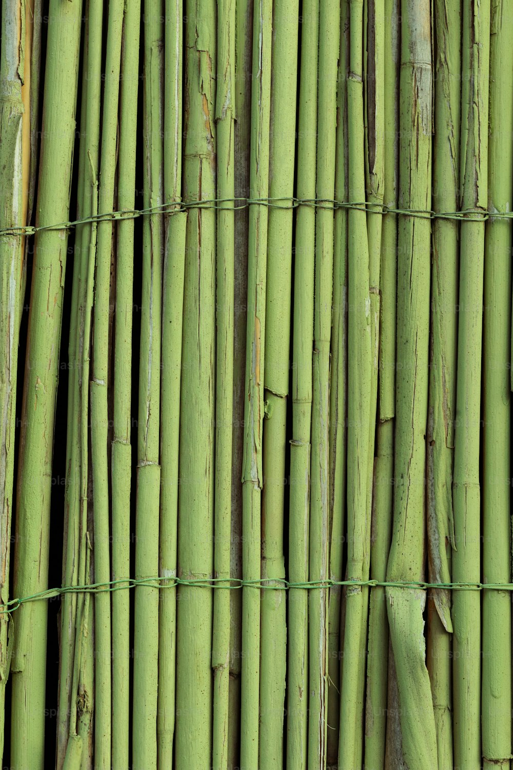 a close up of a bunch of bamboo sticks