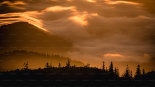 黄空の下の雲と木々に覆われた山