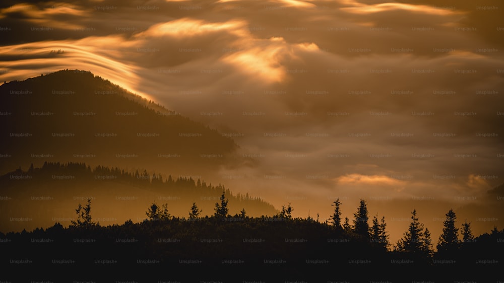 a mountain covered in clouds and trees under a yellow sky