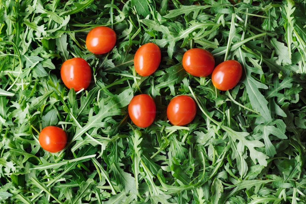 a group of tomatoes laying on top of a lush green field