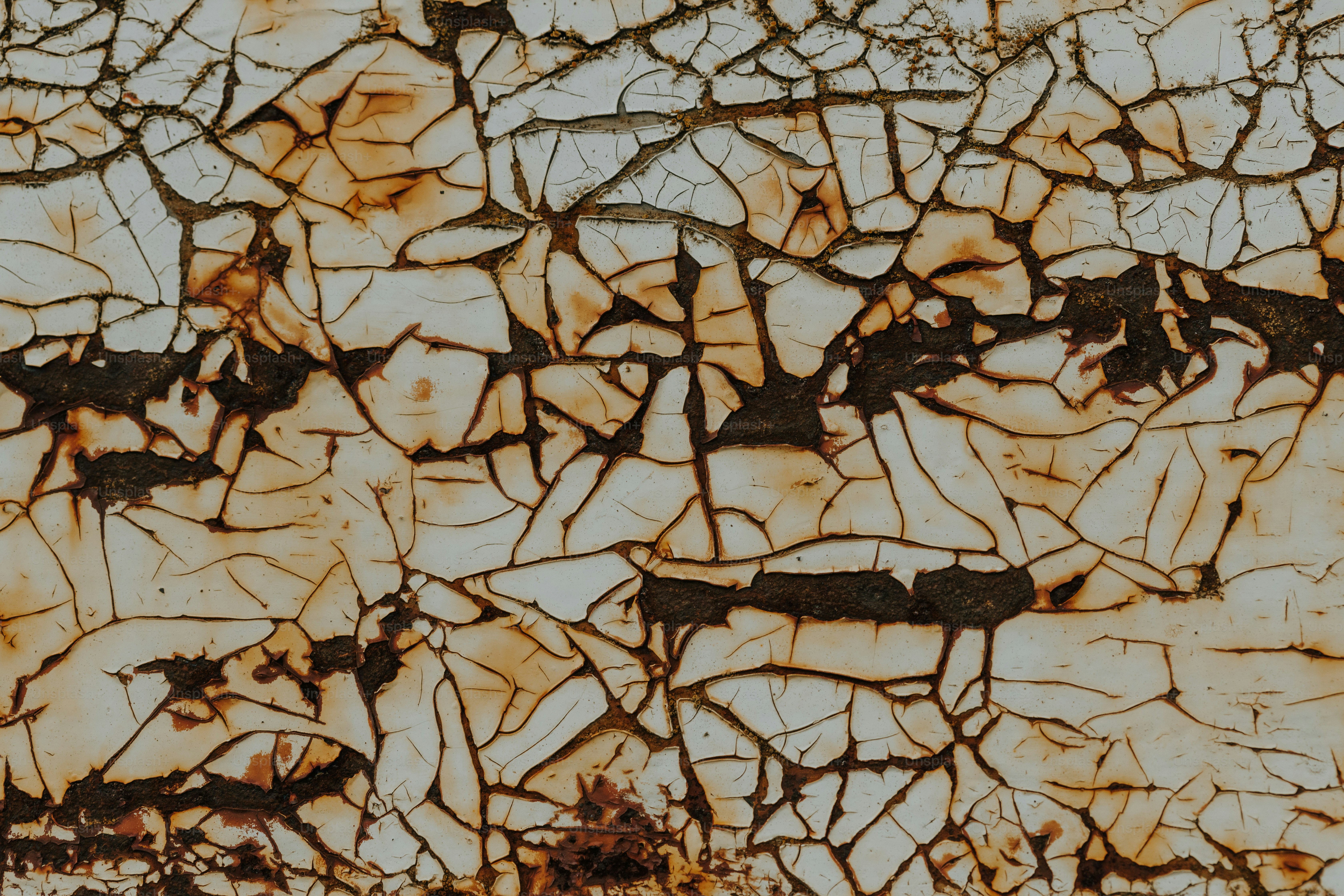 un primer plano de una pared con grietas en ella