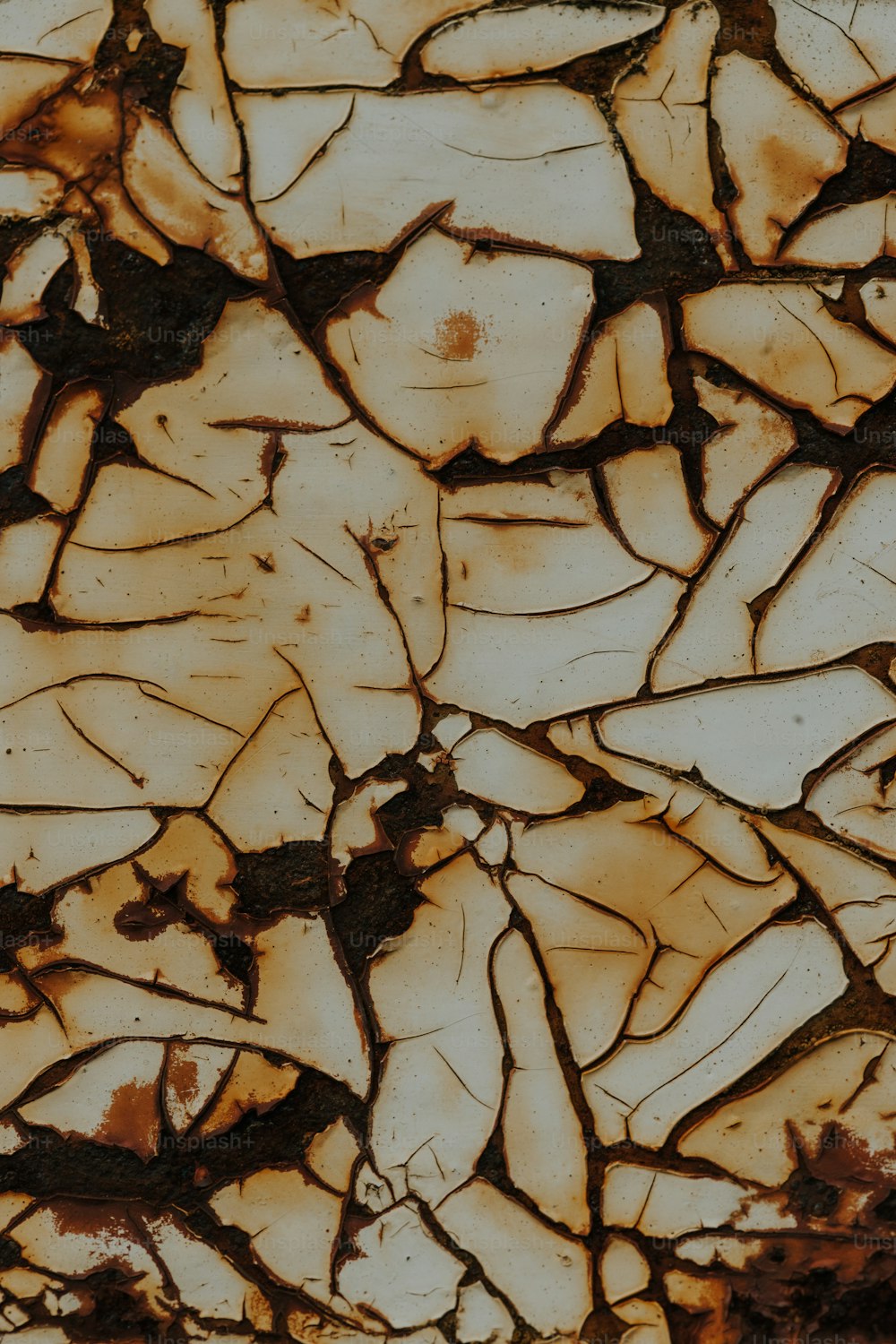un primer plano de una superficie marrón y blanca