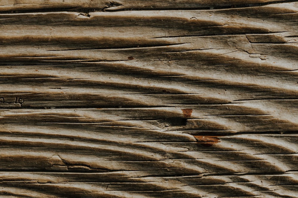 um close up de um pedaço de madeira com um pássaro sobre ele