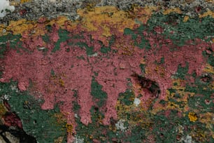 a close up of a rock covered in lichen and moss