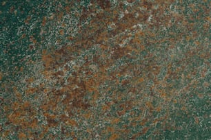 a close up of a green and brown surface