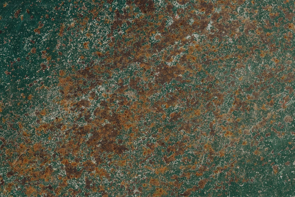 a close up of a green and brown surface