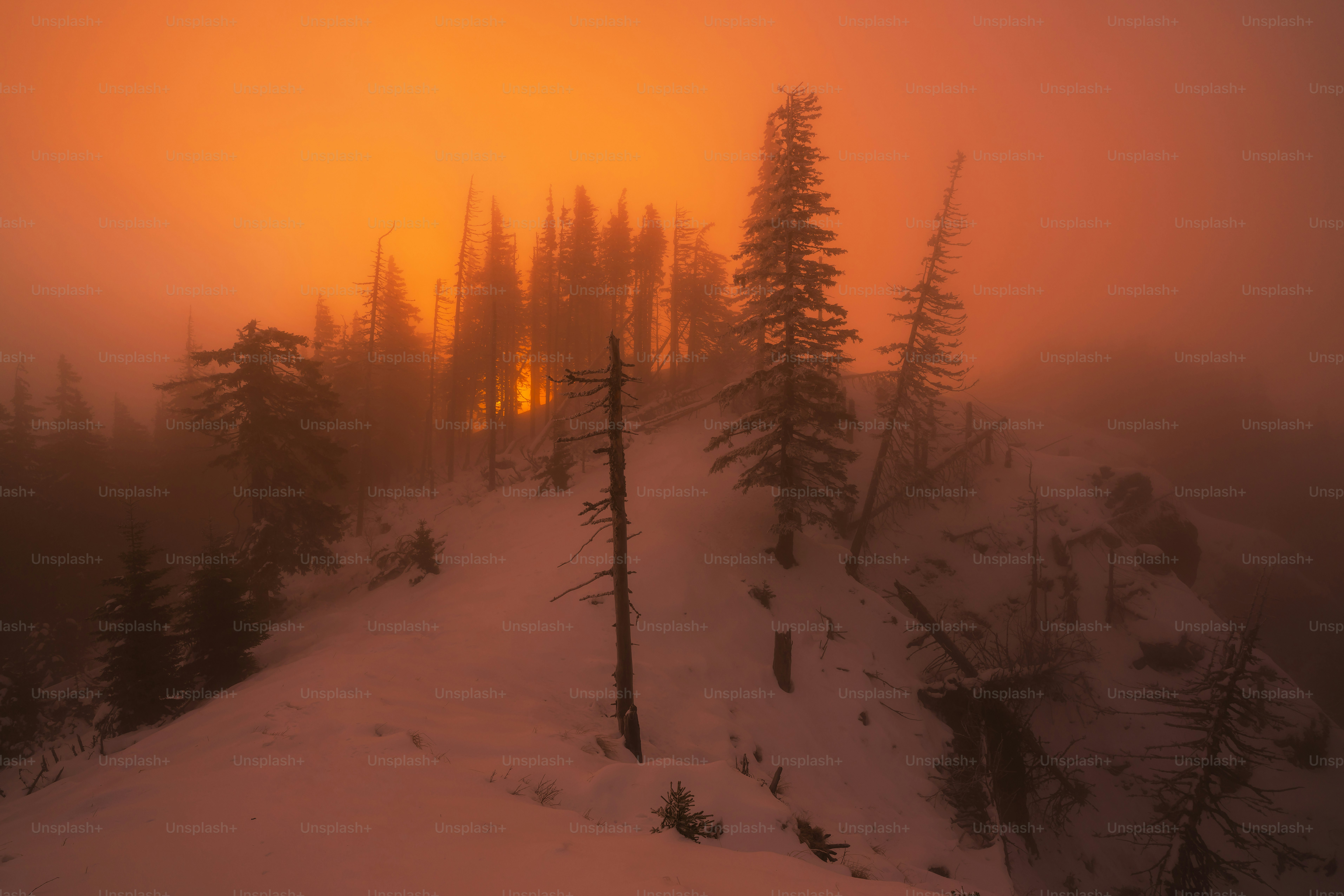 The sun is setting over a snowy mountain photo – Forest Image on Unsplash