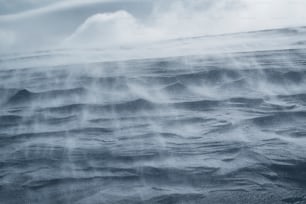 a large body of water covered in waves