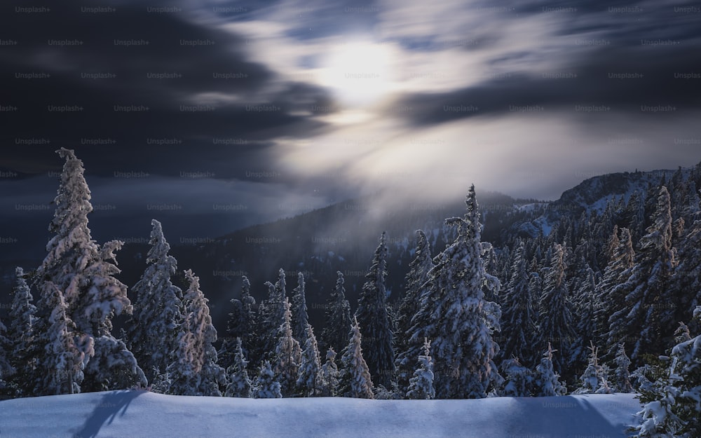 the sun is shining through the clouds over the trees