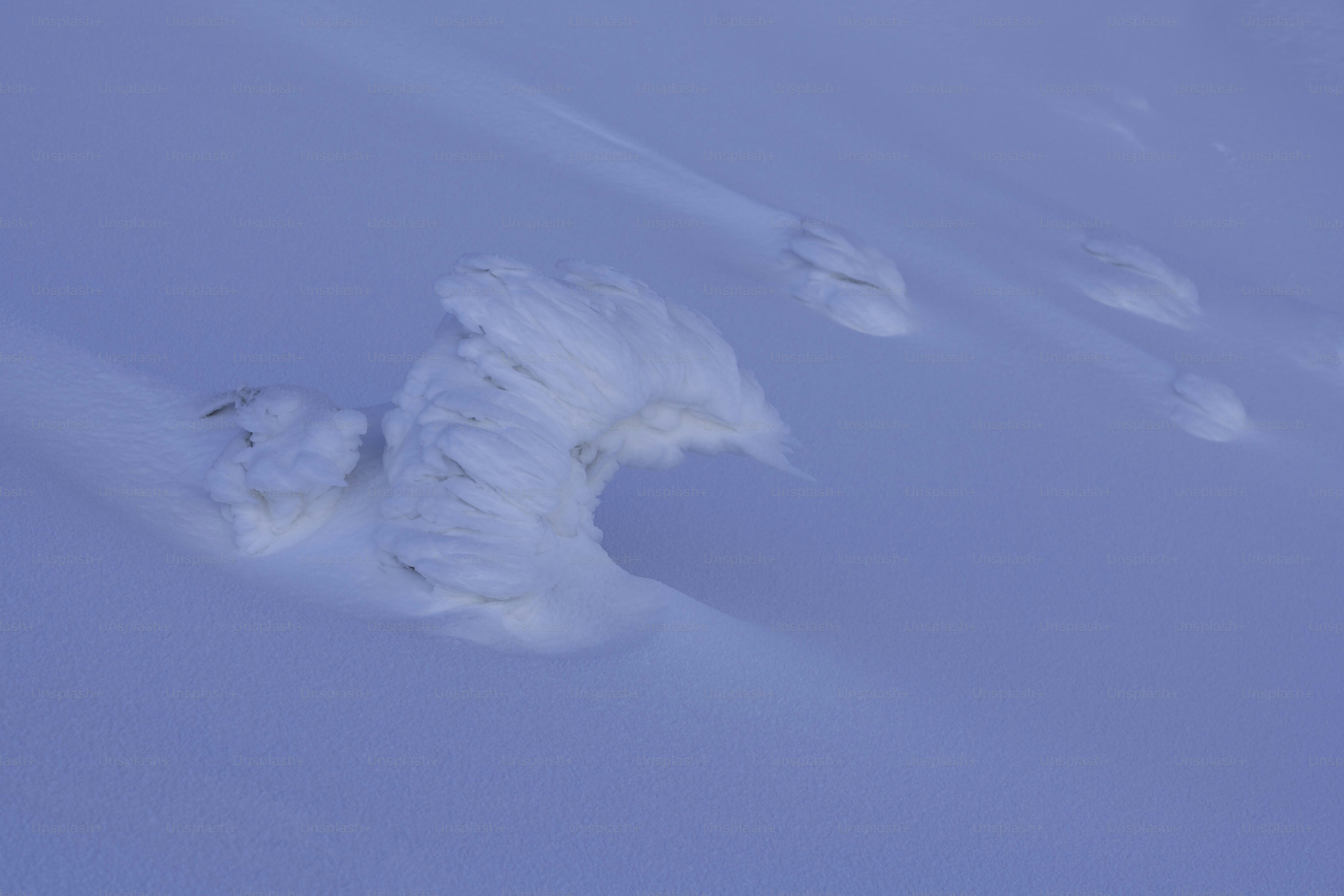 une personne qui dévale à skis une pente enneigée