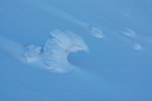 Eine Person, die auf Skiern einen schneebedeckten Hang hinunterfährt