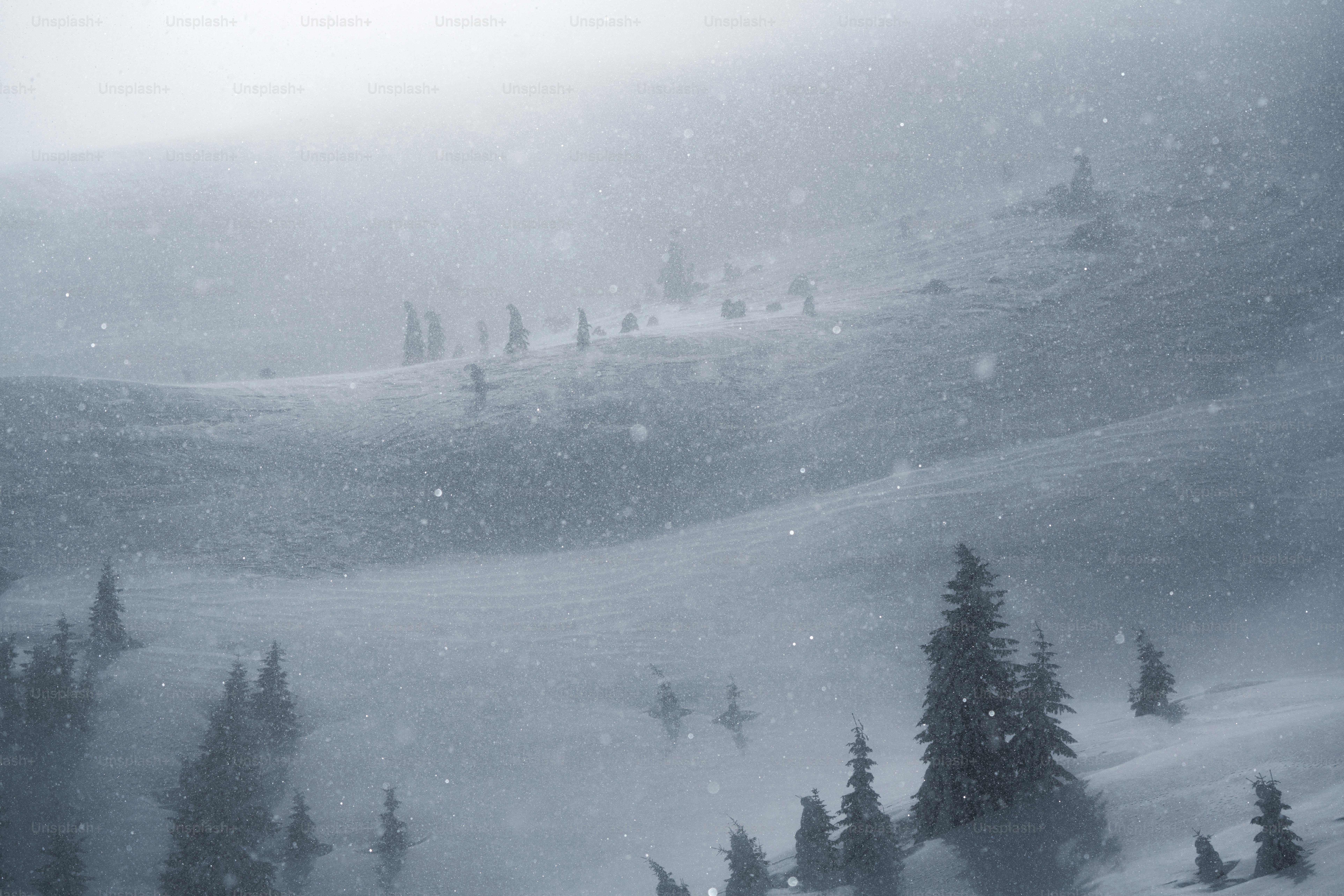 a snow covered mountain with trees on it