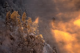 Die Sonne scheint durch die Wolken über den Bäumen