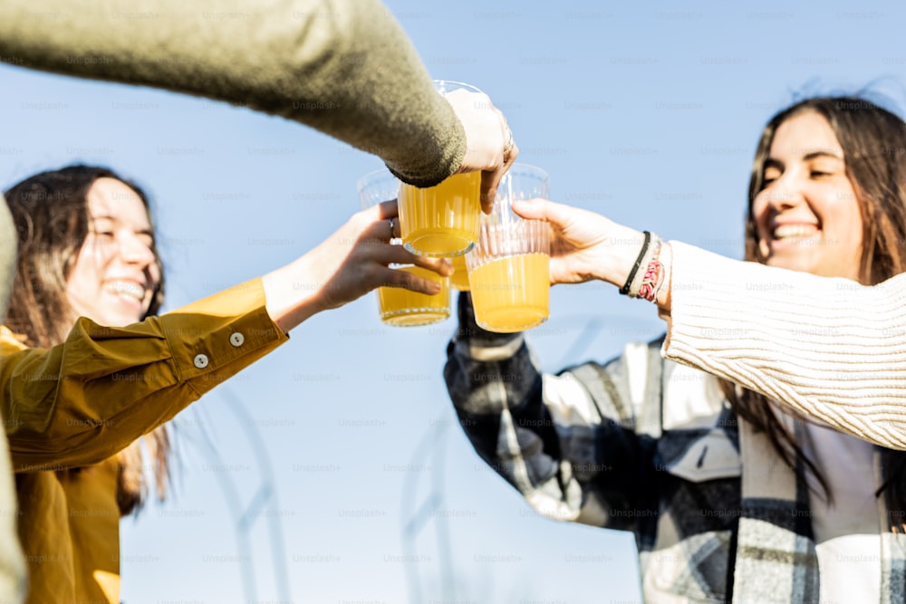 ビールを飲みながら乾杯する友人のグループ