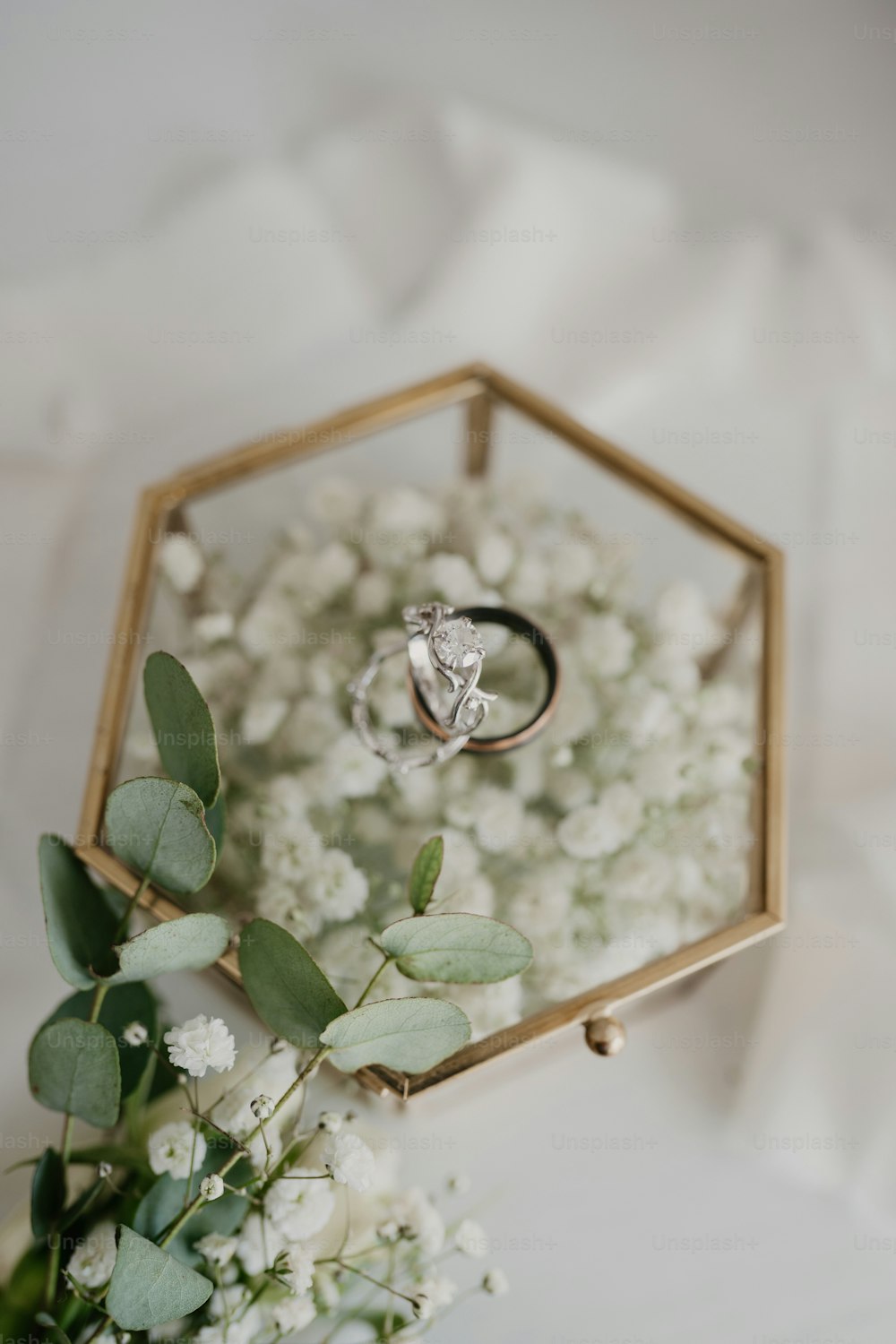 Gros plan d’une bague sur une fleur