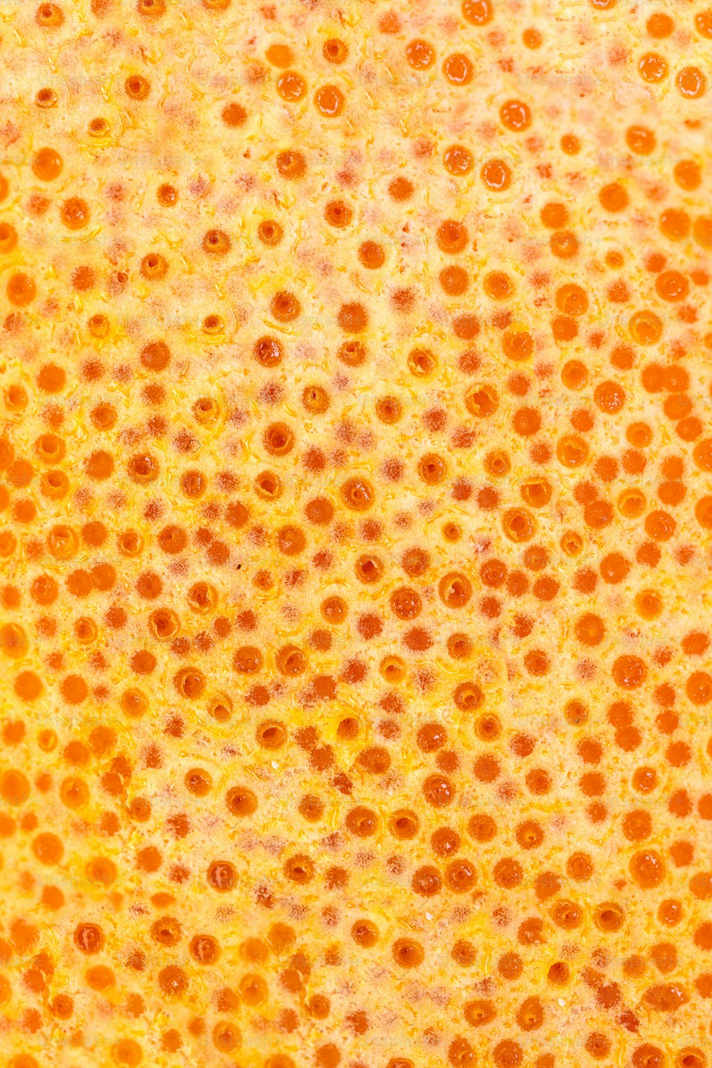 a close up of an orange and yellow background
