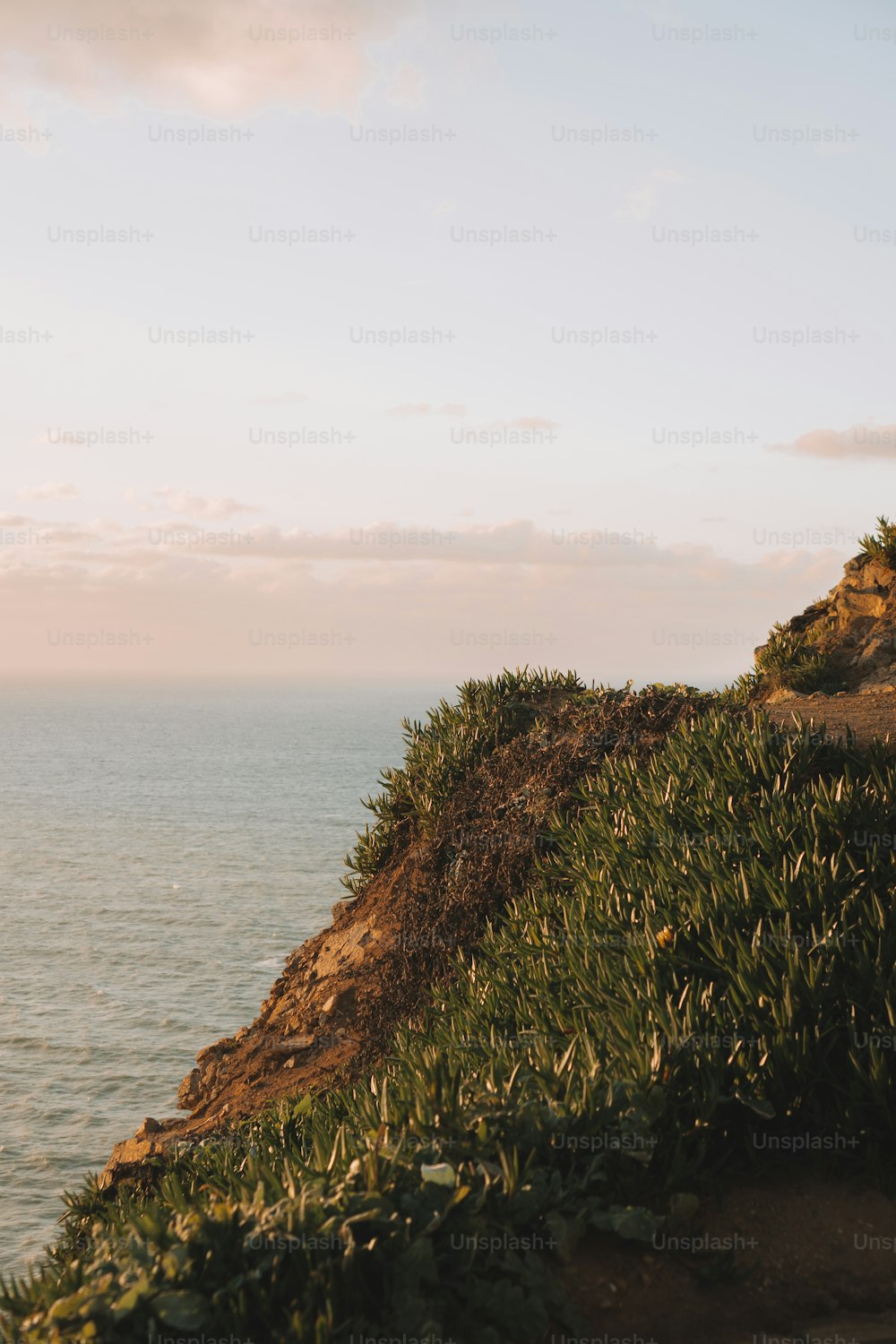 a bench sitting on the side of a cliff overlooking the ocean