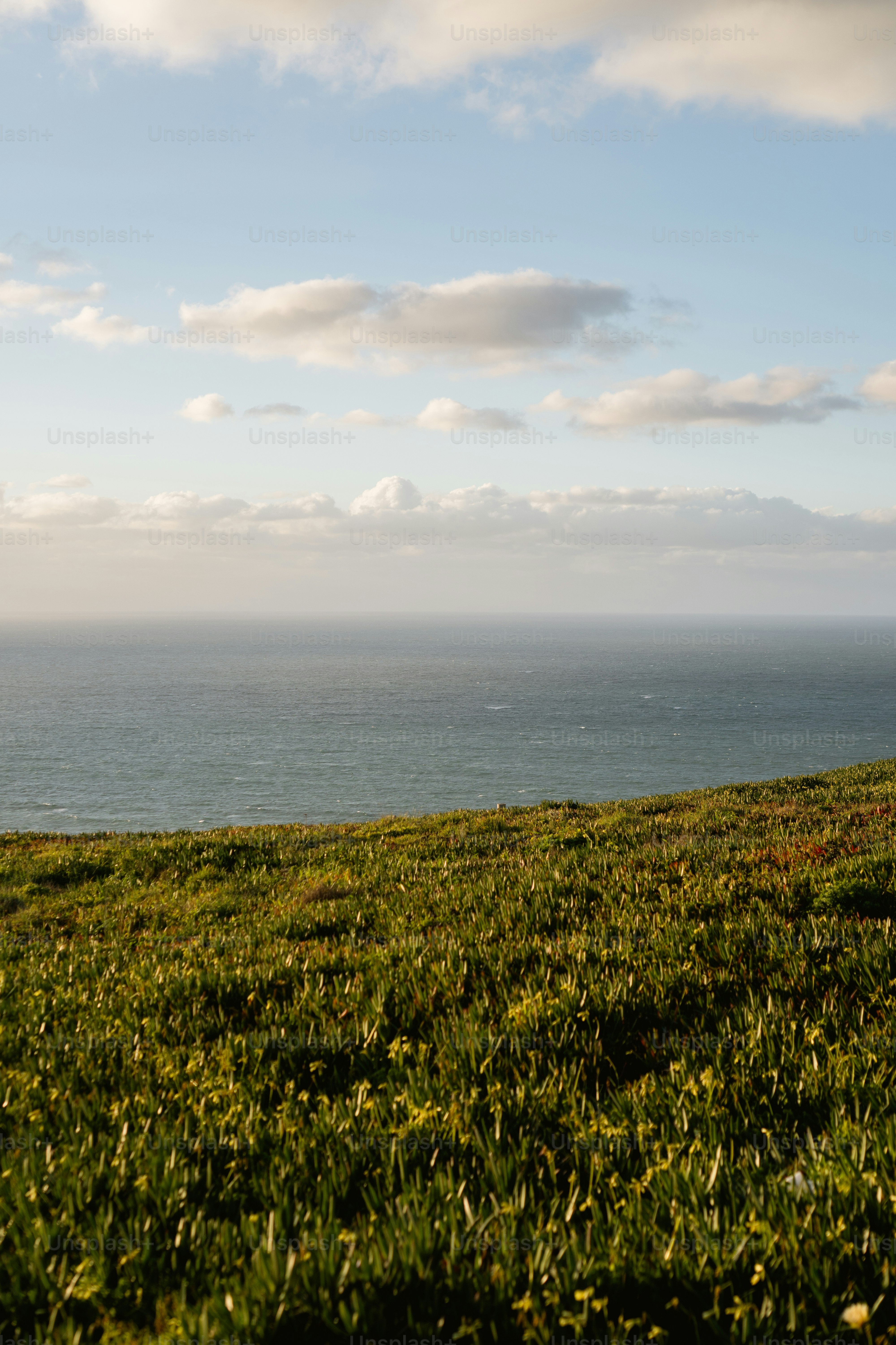 Un hombre montando a caballo en la cima de una exuberante ladera verde