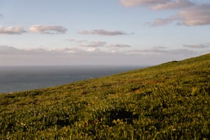 a grassy hill with a body of water in the distance