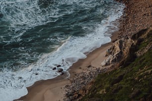 une vue d’une plage avec des vagues venant du rivage