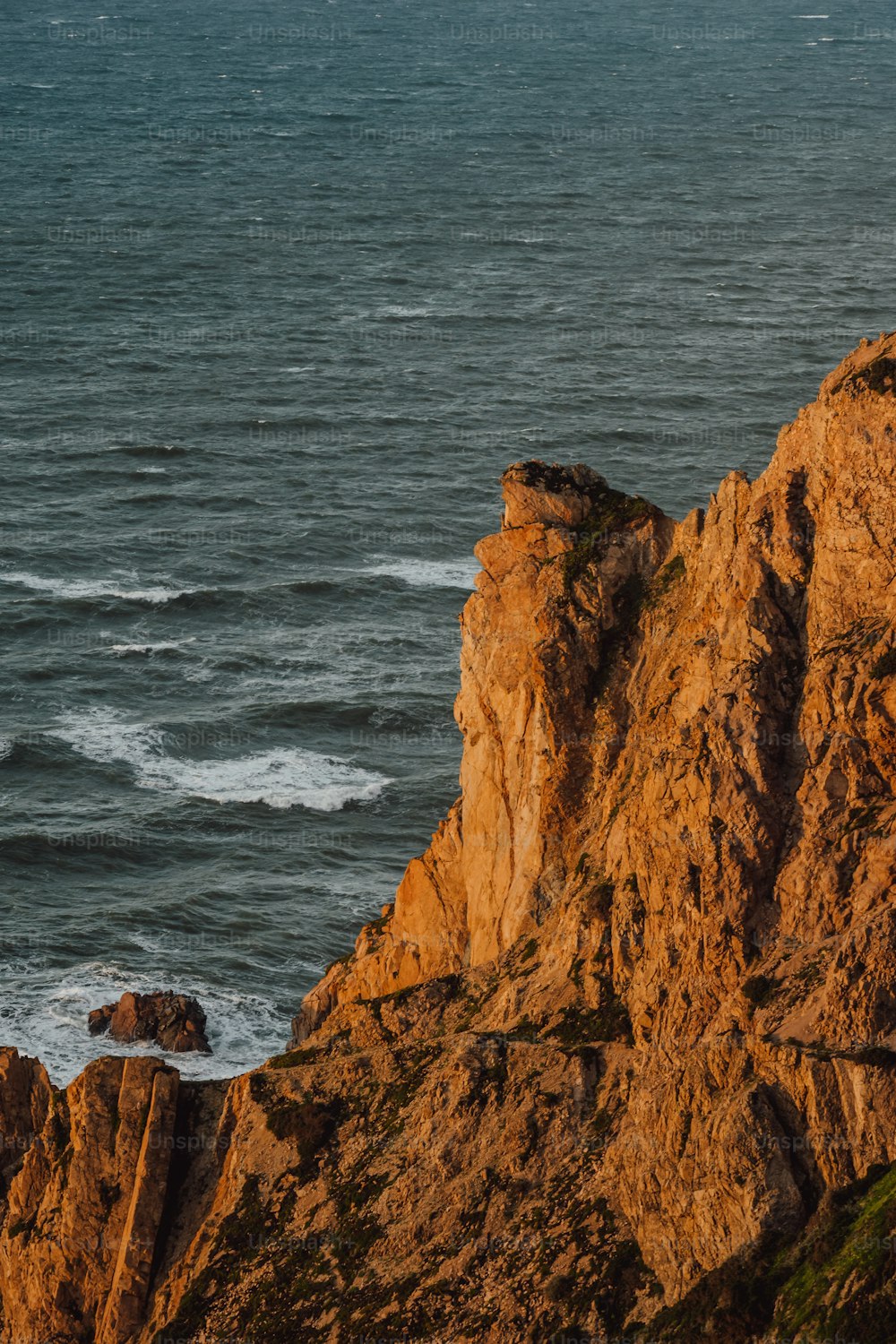 Un uccello è appollaiato su una roccia vicino all'oceano