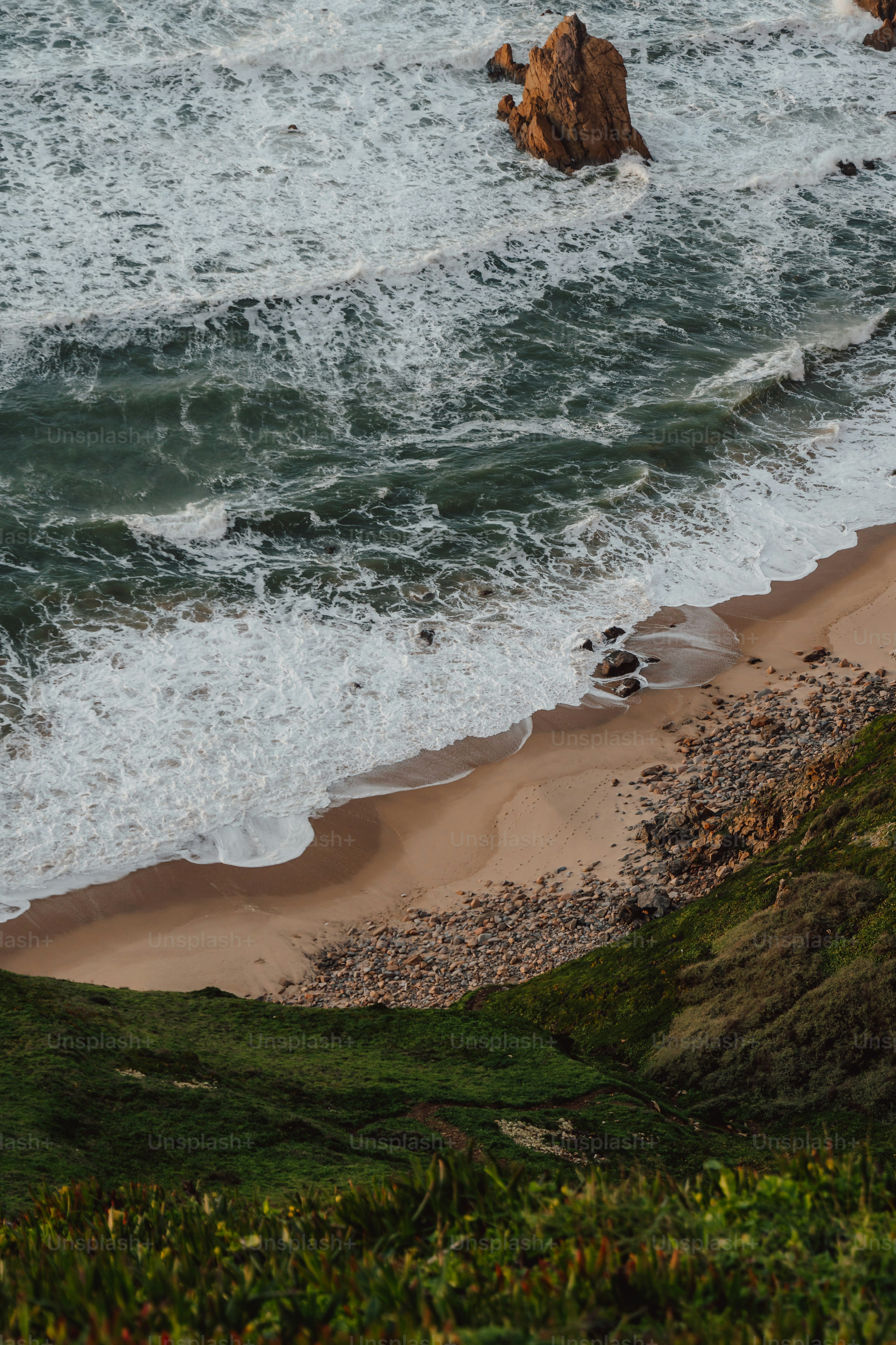 a bird standing on a beach next to the ocean