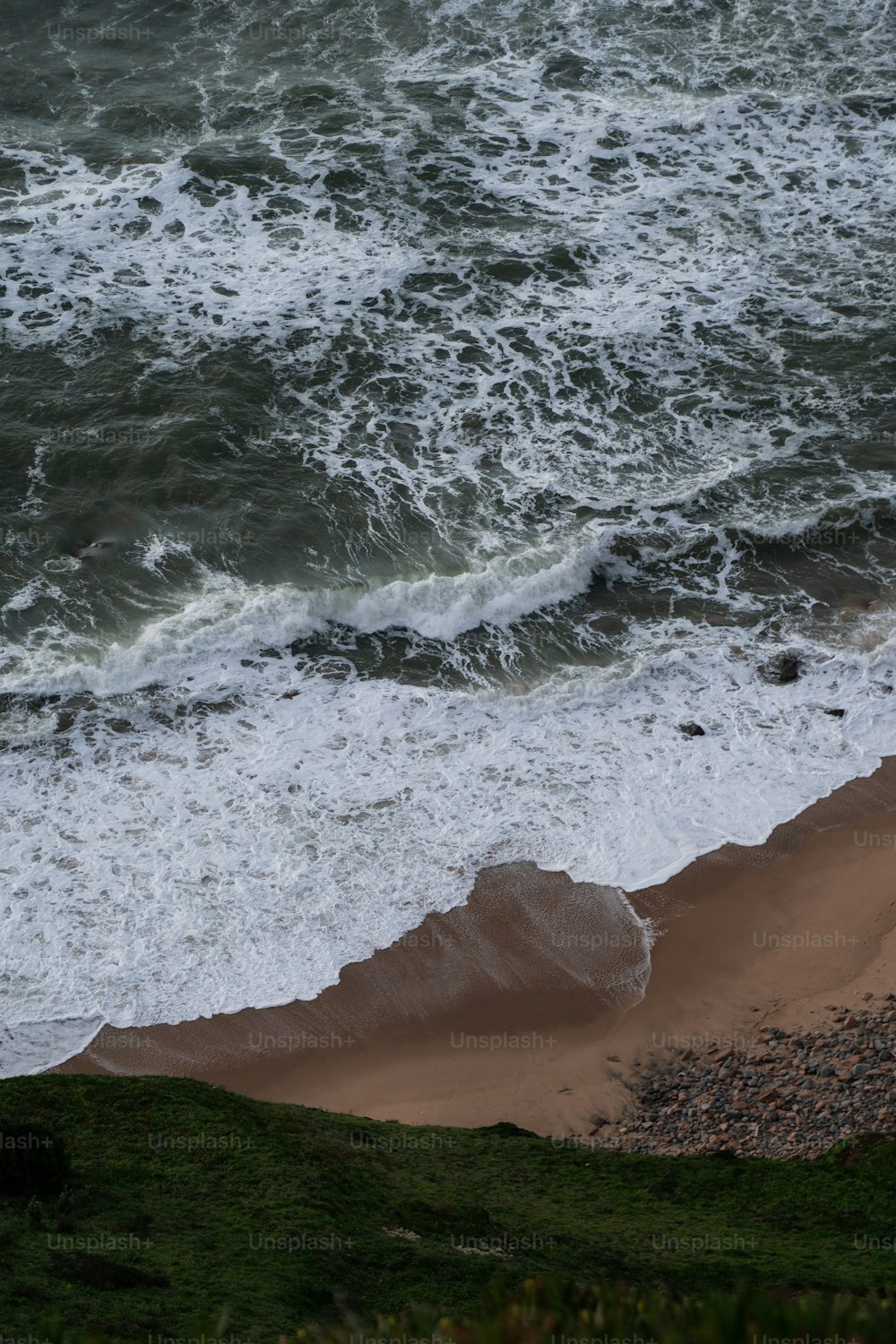 a bird is standing on a beach near the ocean